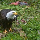 Review photo of Eagle Shadow Campground by Deanna C., July 9, 2018