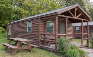 Blue Water M.'s photo of a cabin at Yogi Bear's Jellystone Park At Delaware Beaches near Millville, DE