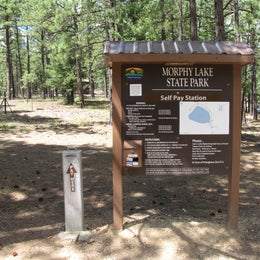 Morphy Lake State Park Campground