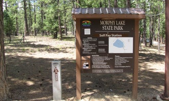 Camping near Coyote Creek State Park Campground: Morphy Lake State Park Campground, Cleveland, New Mexico
