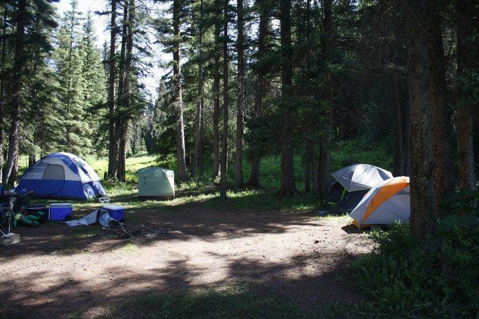 Jeana P.'s photo of tent camping at Hermosa Park Road Dispersed near Cortez, CO