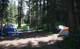 Jeana P.'s photo of tent camping at Hermosa Park Road Dispersed near Ouray, CO