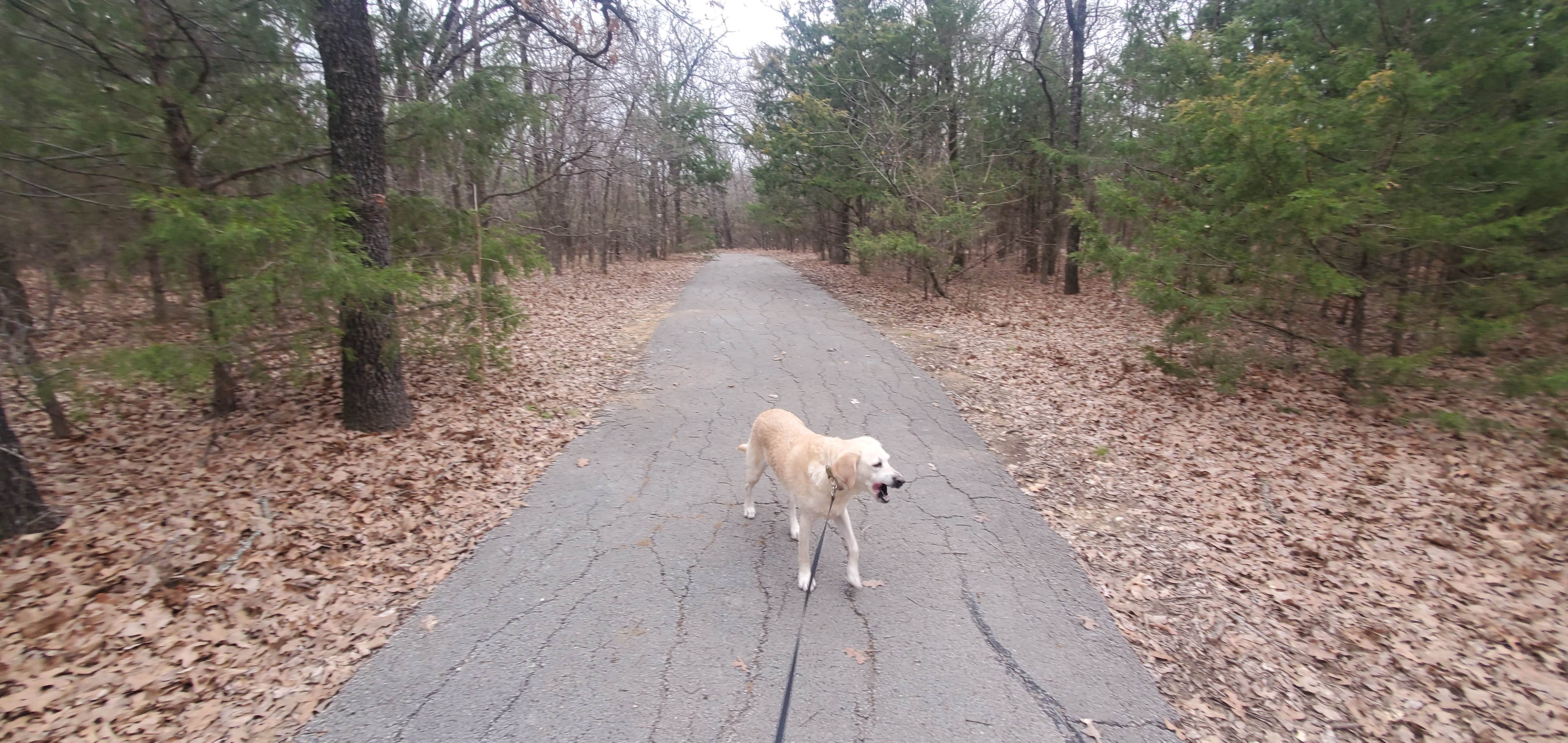 UnnamedAdventures's photo of camping with pets at Hickory Creek - Lewisville Lake near Arlington, TX