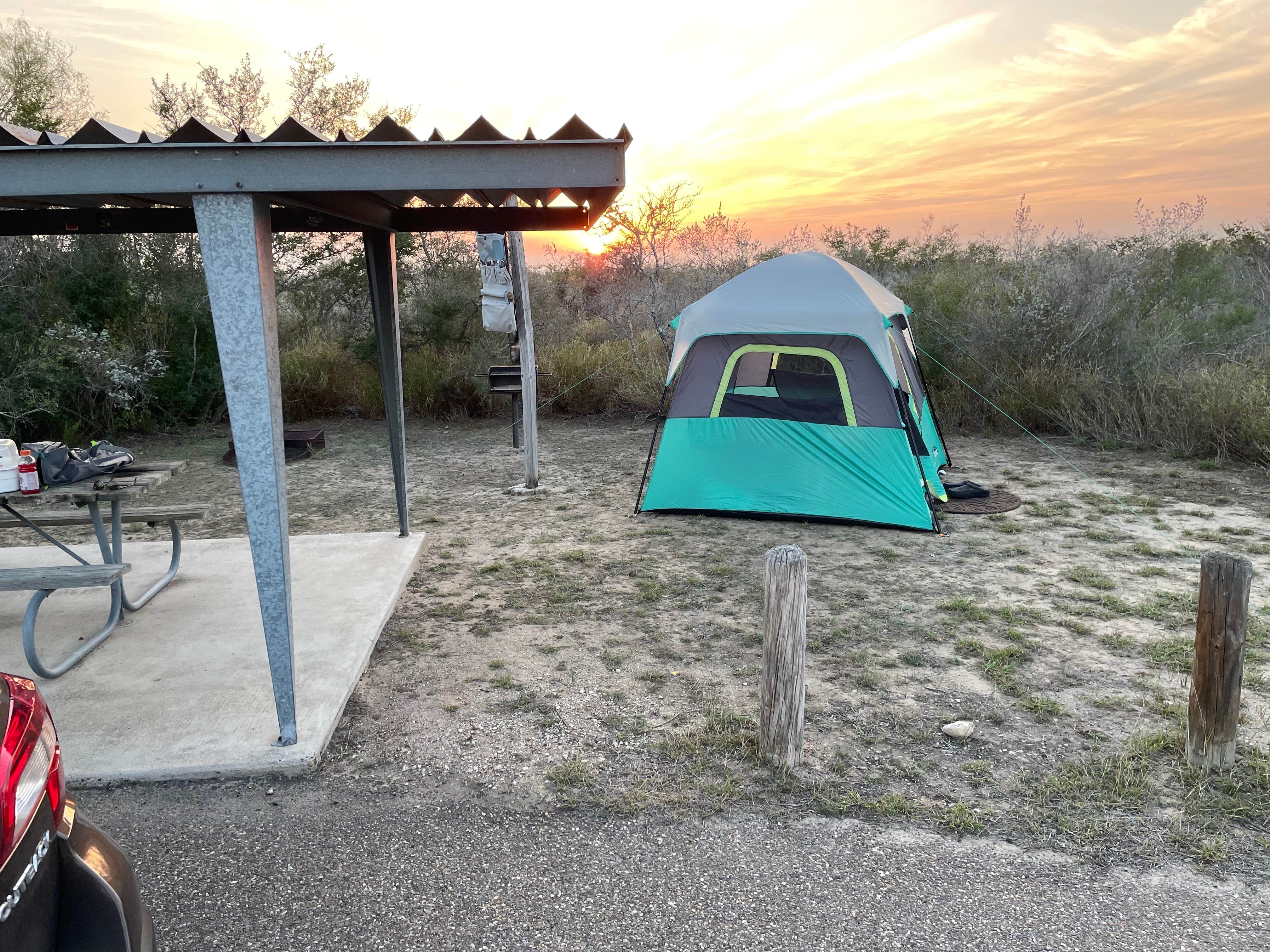 Camper submitted image from Falcon State Park Campground - 1