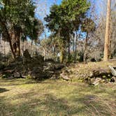 Review photo of Juniper Springs Rec Area - Tropical Camp Area by Cindy K., February 4, 2022