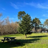 Review photo of Olema Campground by Cameen H., February 4, 2022