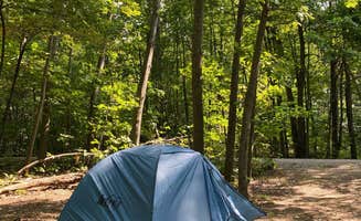 Shawnee ..'s photo at Fisherman's Island State Park Campground near Ellsworth, MI