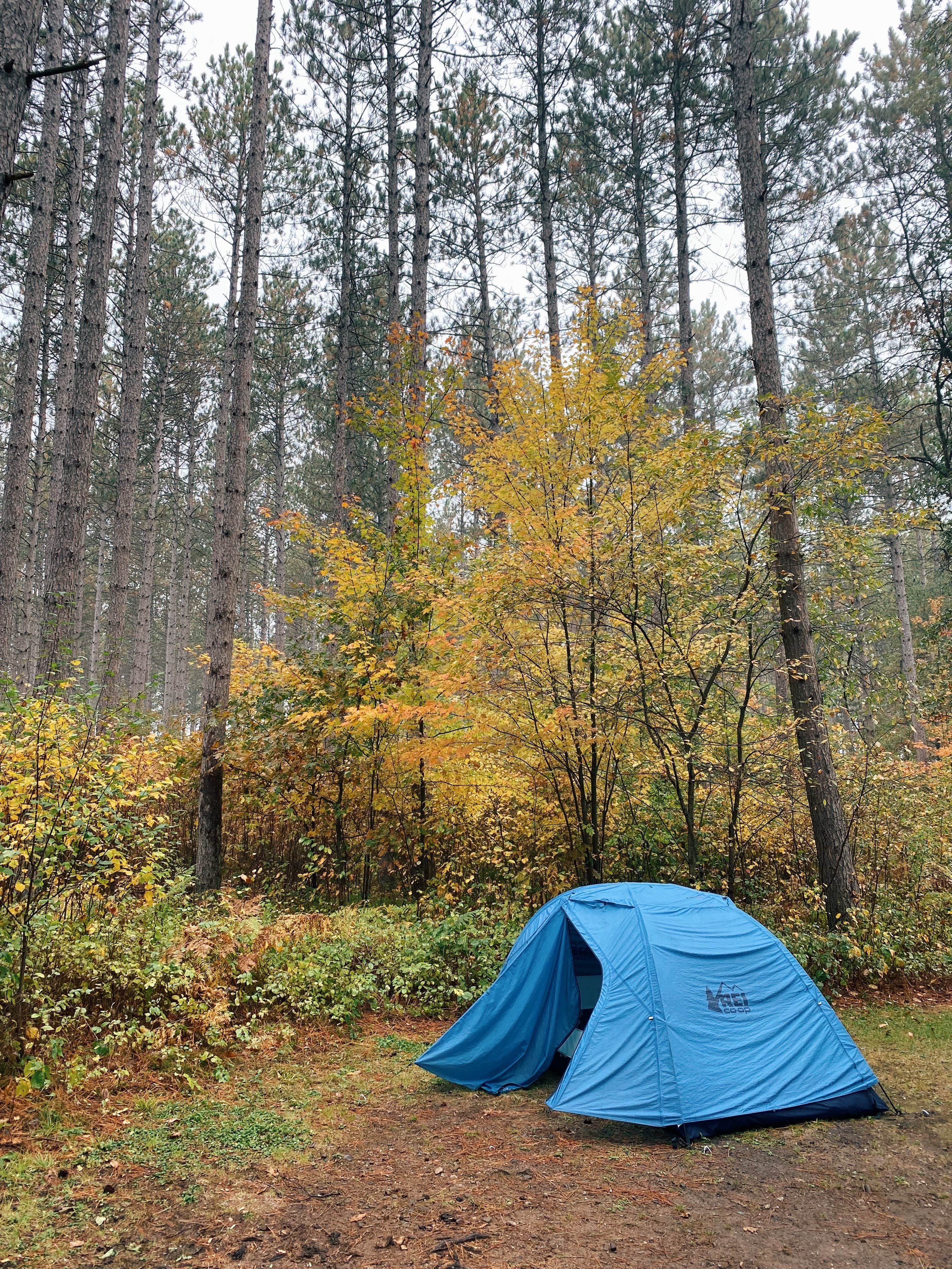 Camper submitted image from Twelve Foot Falls County Park - 1