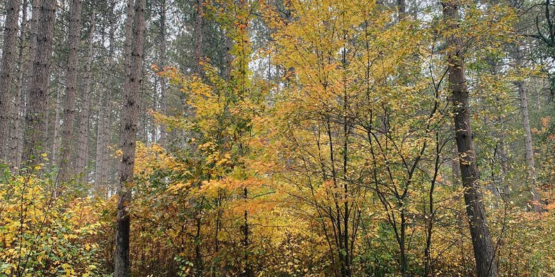 Camper submitted image from Twelve Foot Falls County Park