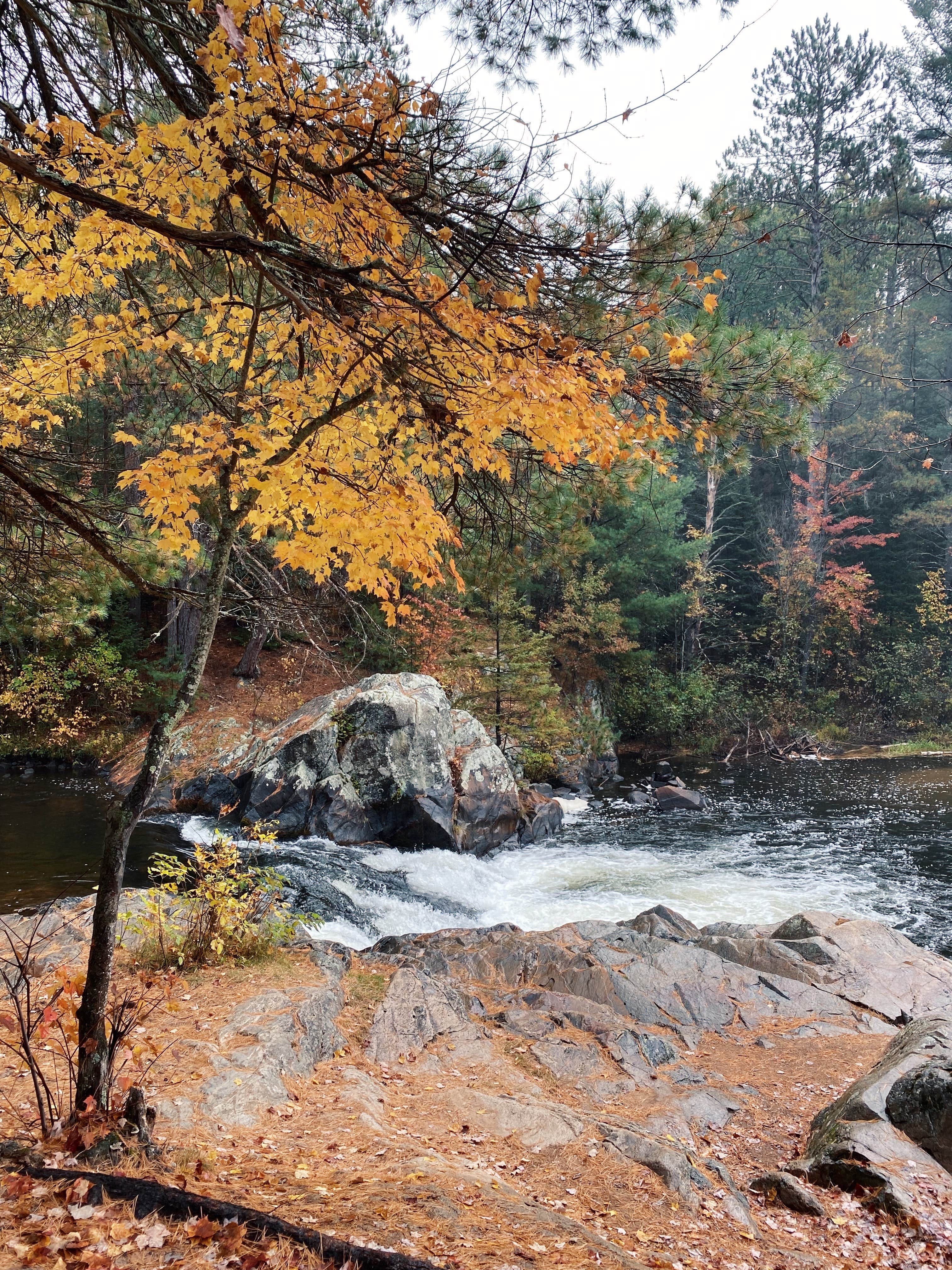 Twelve Foot Falls County Park Camping | Dunbar, WI