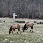 Review photo of Cherokee-Great Smokies KOA by Randall B., February 5, 2022