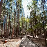 Review photo of Yosemite Pines RV Resort & Family Lodging by Matthew D., February 5, 2022