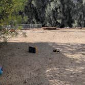 Review photo of Catalina Spa and RV Resort by Laura P., February 5, 2022