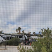 Review photo of Catalina Spa and RV Resort by Laura P., February 5, 2022