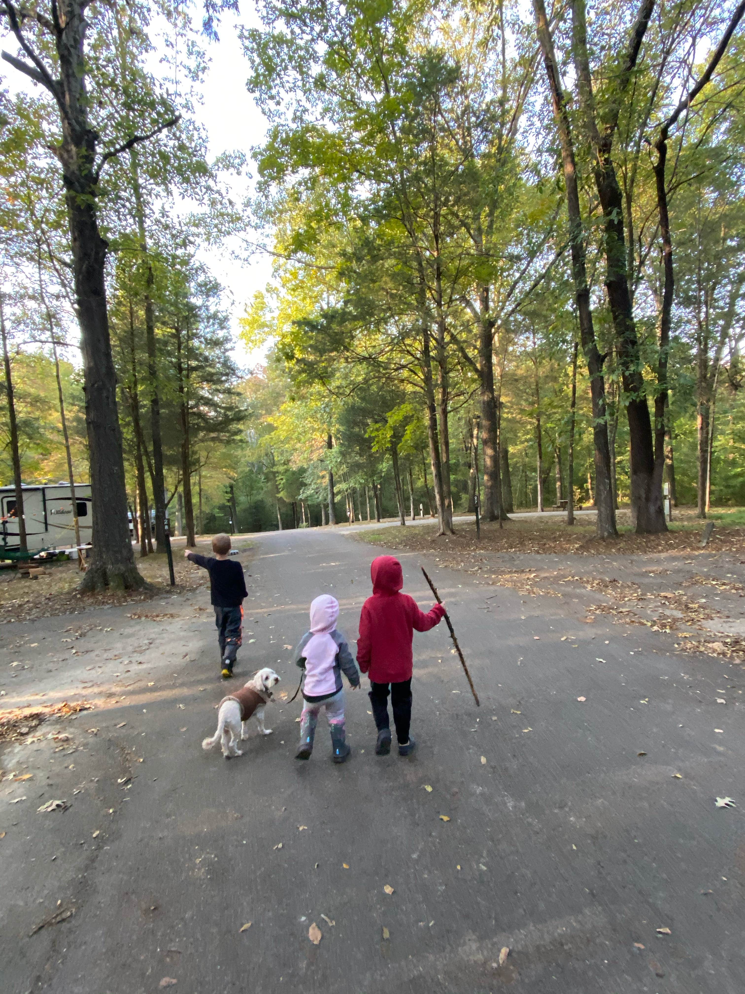 Michael V.'s photo of camping with pets at Dixon Springs State Park Campground near Vienna, IL