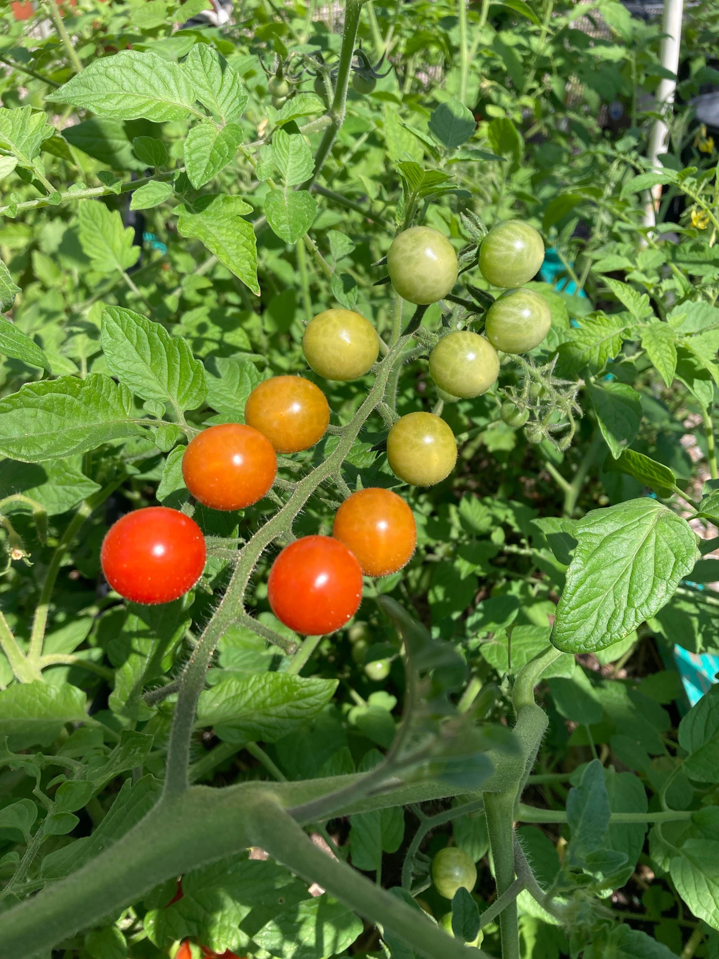 Camper-submitted photo at RavenHouse RV Spot and Horse Hotel near Ribera, NM