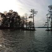 Review photo of Dreher Island State Park Campground by Julia R., February 6, 2022