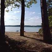 Review photo of Dreher Island State Park Campground by Julia R., February 6, 2022