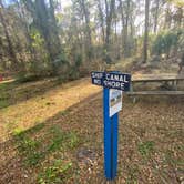 Review photo of Santos Trailhead & Campground by Lauren W., February 6, 2022