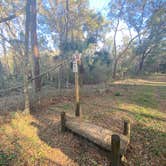 Review photo of Santos Trailhead & Campground by Lauren W., February 6, 2022