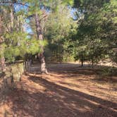 Review photo of Santos Trailhead & Campground by Lauren W., February 6, 2022