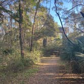 Review photo of Santos Trailhead & Campground by Lauren W., February 6, 2022