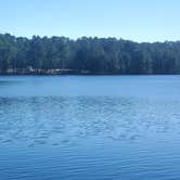 Review photo of Cheraw State Park Campground — Cheraw State Park by Rino S., February 6, 2022