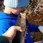 Review photo of Cheraw State Park Campground — Cheraw State Park by Rino S., February 6, 2022