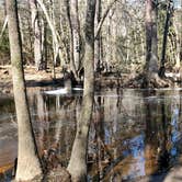 Review photo of Cheraw State Park Campground — Cheraw State Park by Rino S., February 6, 2022