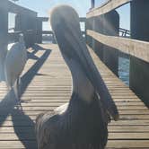 Review photo of North Beach Camp Resort by Rino S., February 6, 2022