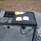Review photo of Disney’s Fort Wilderness Resort & Campground by Rino S., February 6, 2022