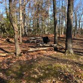 Review photo of Greenbelt Park Campground — Greenbelt Park by Ben P., February 5, 2022