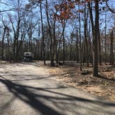 Review photo of Greenbelt Park Campground — Greenbelt Park by Ben P., February 5, 2022