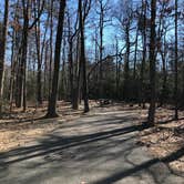 Review photo of Greenbelt Park Campground — Greenbelt Park by Ben P., February 5, 2022