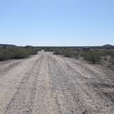 Review photo of Painted Rock Petroglyph Site And Campground by Greg L., February 6, 2022