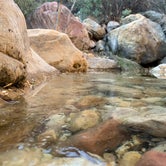 Review photo of Red Rock Canyon National Conservation Area - Red Rock Campground by Trevor M., February 6, 2022