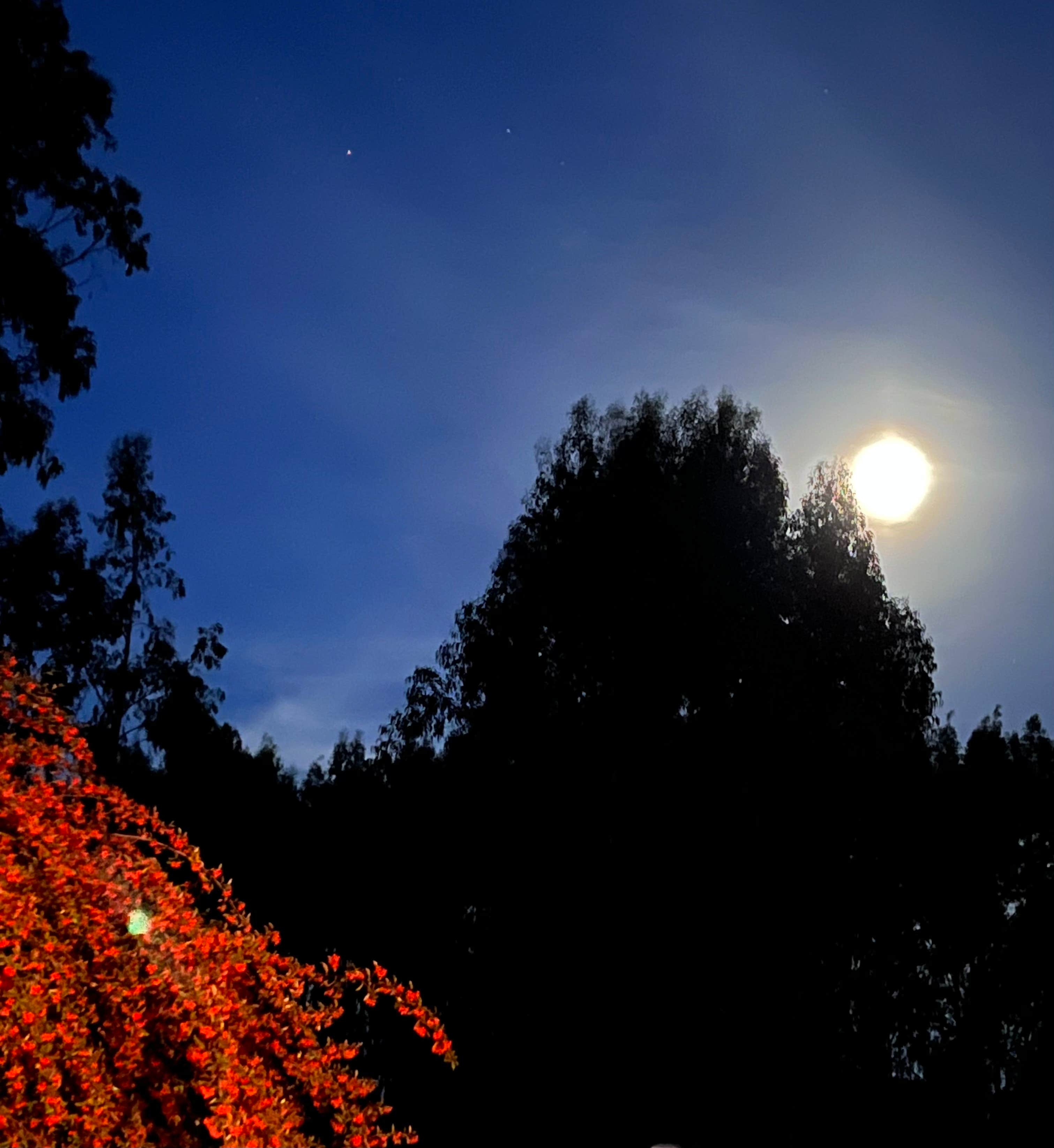 Camper-submitted photo at Widow White Creek RV Park near Trinidad, CA
