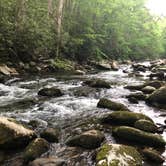Review photo of Elkmont Campground — Great Smoky Mountains National Park by Charlotte B., July 9, 2018