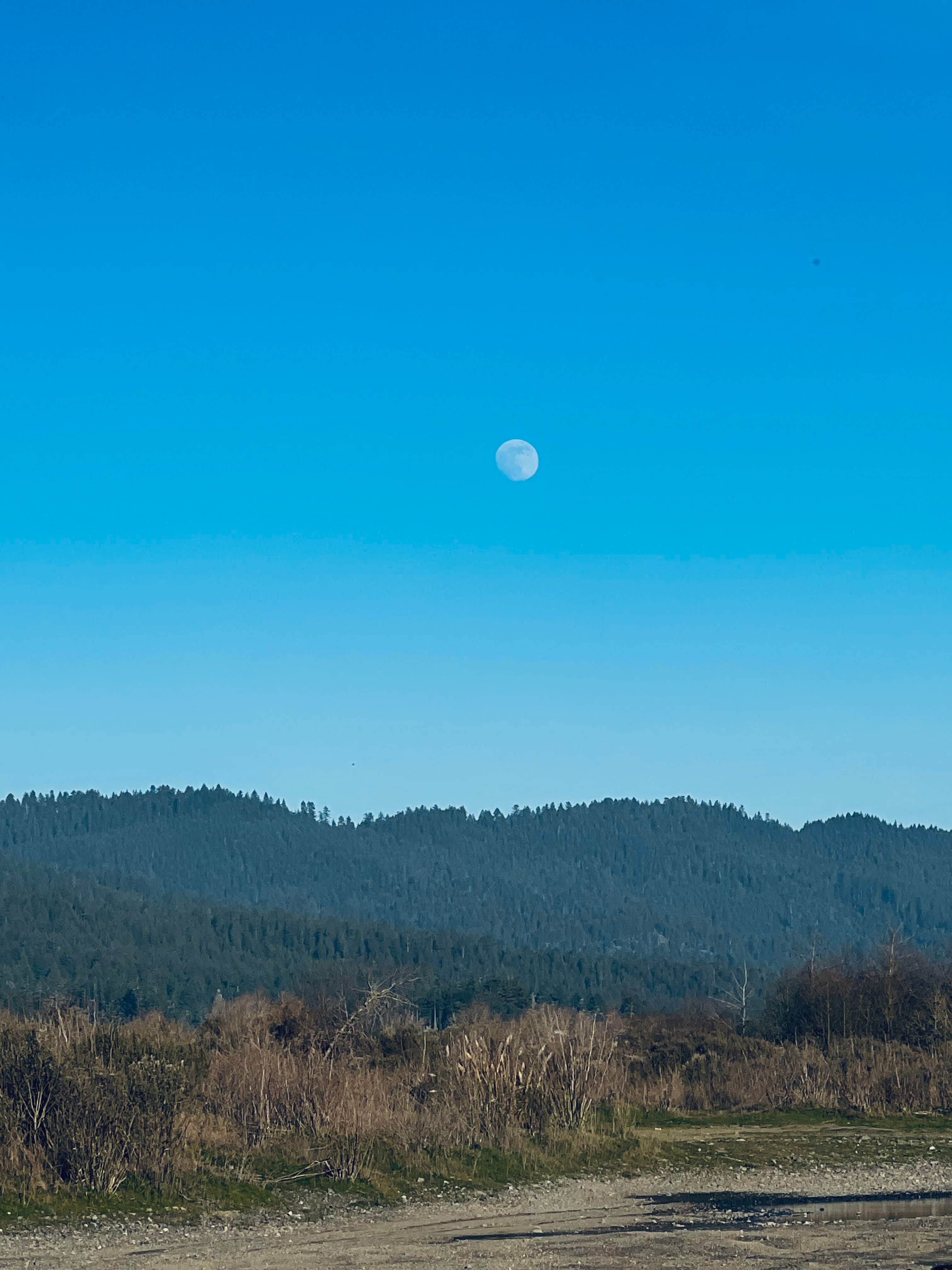 Camper-submitted photo at Widow White Creek RV Park near Trinidad, CA