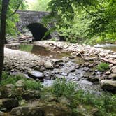 Review photo of Elkmont Campground — Great Smoky Mountains National Park by Charlotte B., July 9, 2018