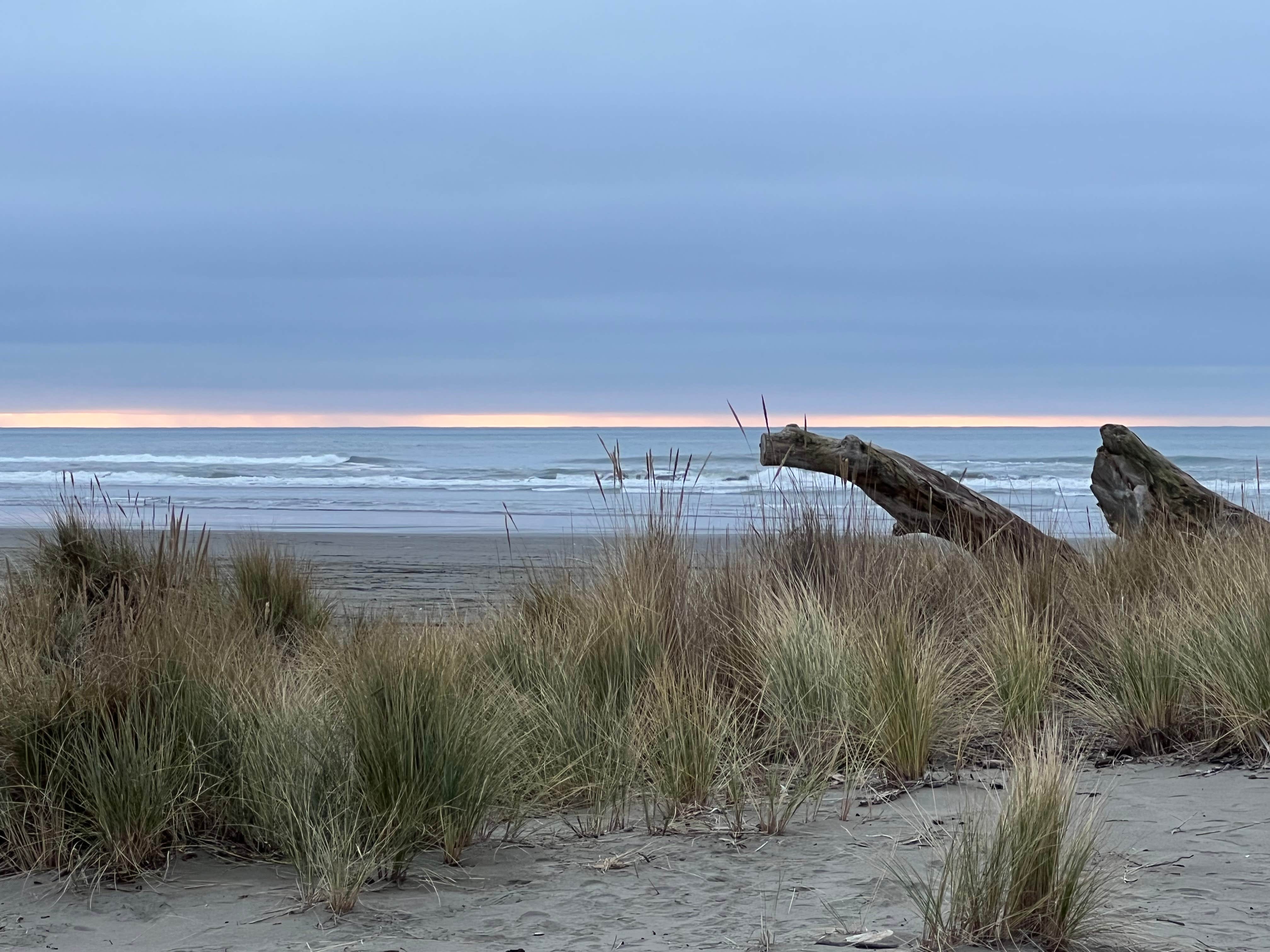 Camper-submitted photo at Widow White Creek RV Park near Trinidad, CA