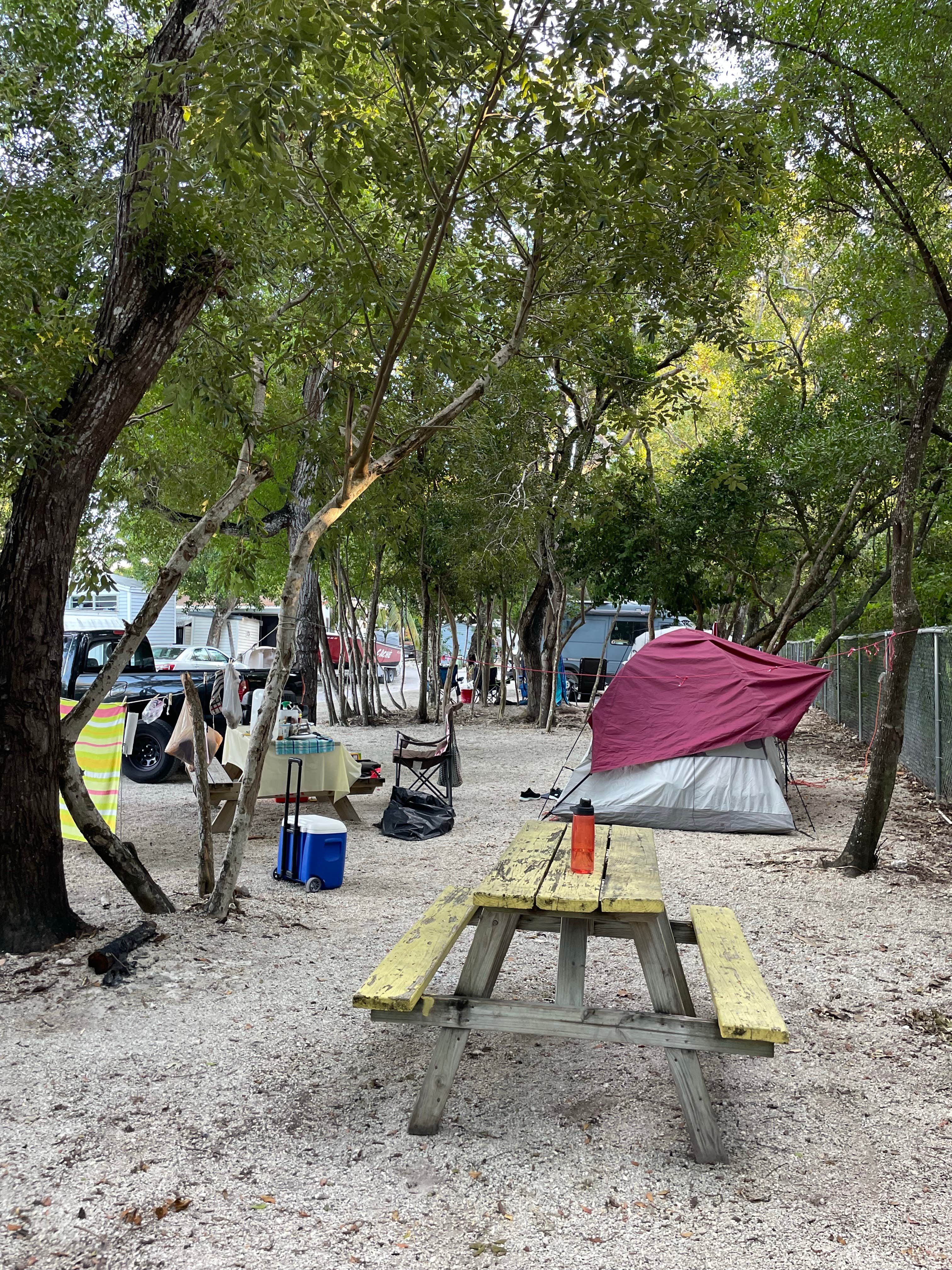 Camper-submitted photo at Key Largo Kampground & Marina near Biscayne National Park