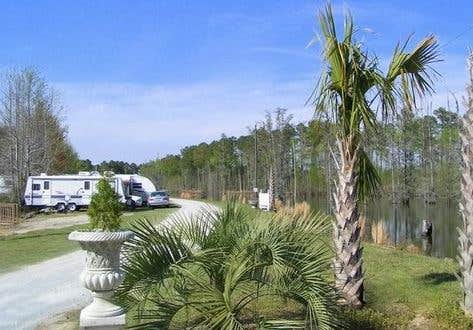 Camper submitted image from Big Cypress Lake RV Park and Fishing Retreat - 4