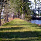 Review photo of Big Cypress Lake RV Park and Fishing Retreat by Kevin G., February 7, 2022