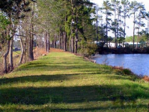 Camper submitted image from Big Cypress Lake RV Park and Fishing Retreat - 5