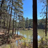 Review photo of Clear Springs Lake Rec Area NF Campground by Team D., February 6, 2022