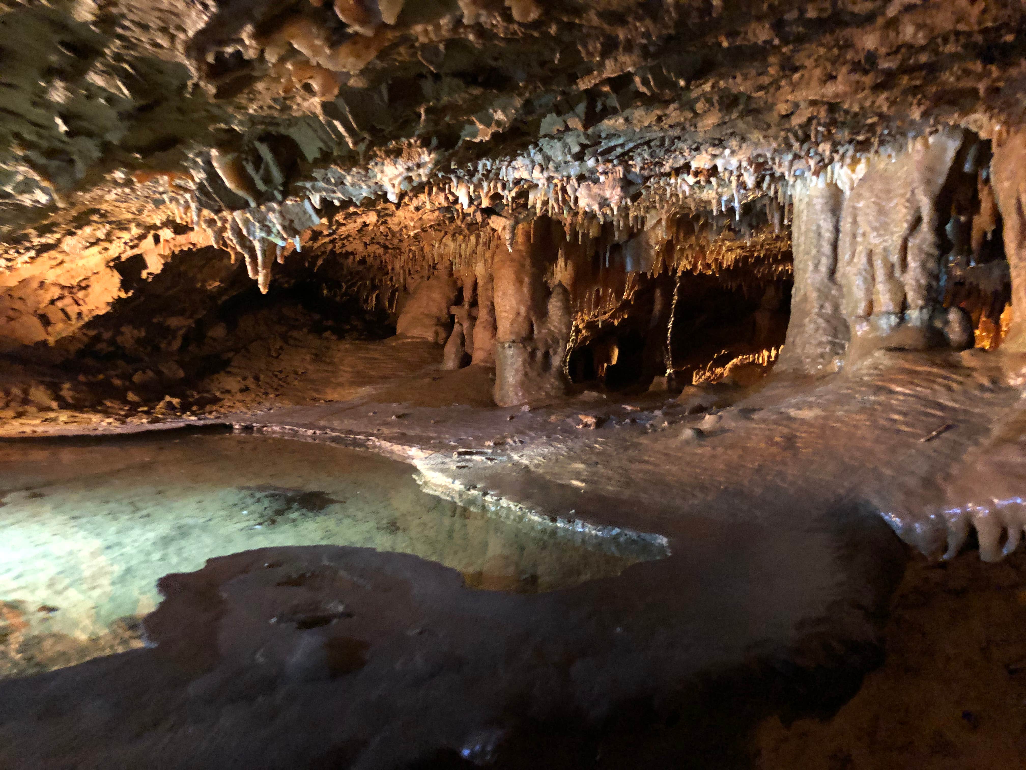 Camper submitted image from Dixie Caverns - 1