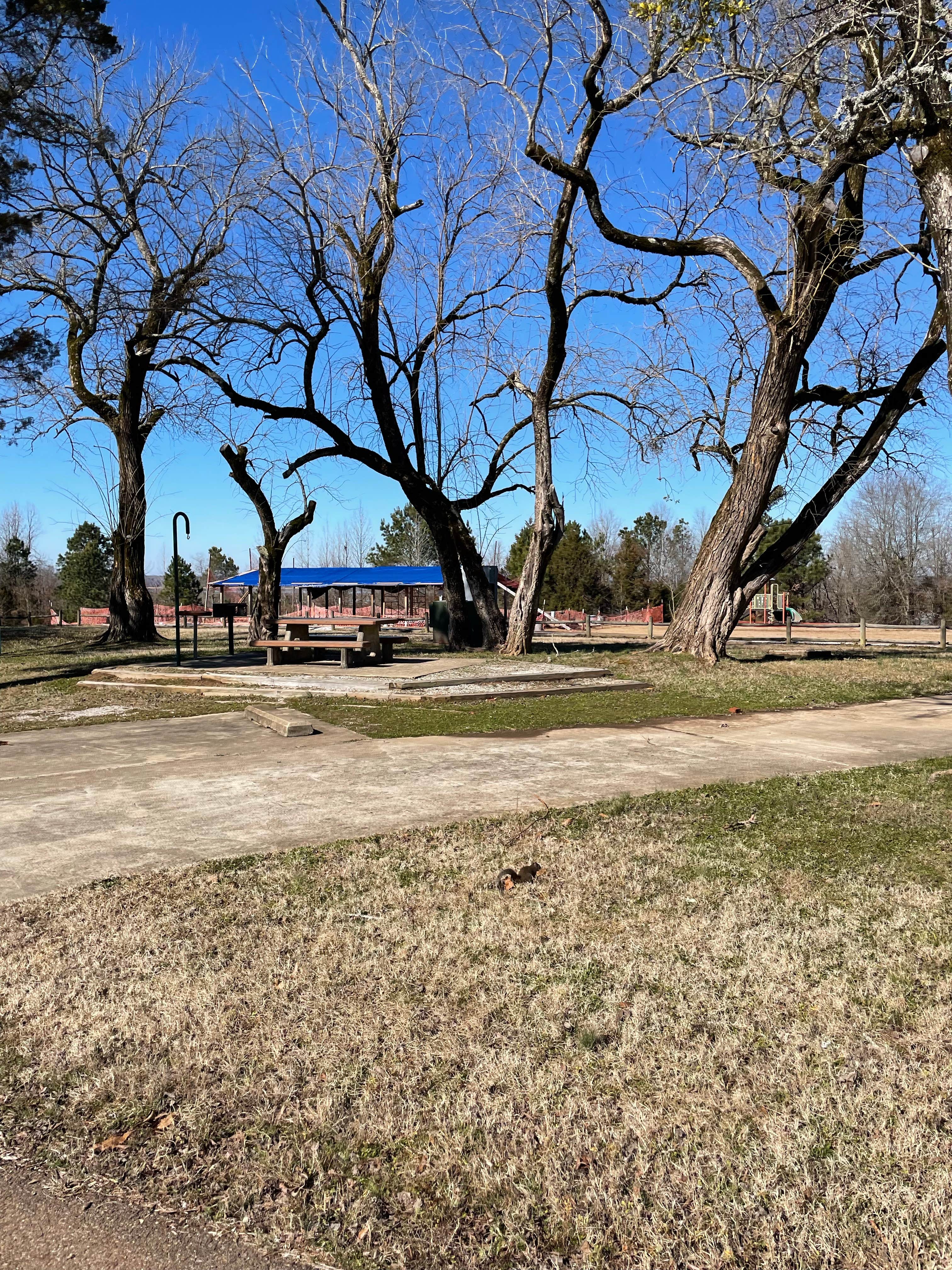 Camper-submitted photo at Hurricane Landing near University, MS
