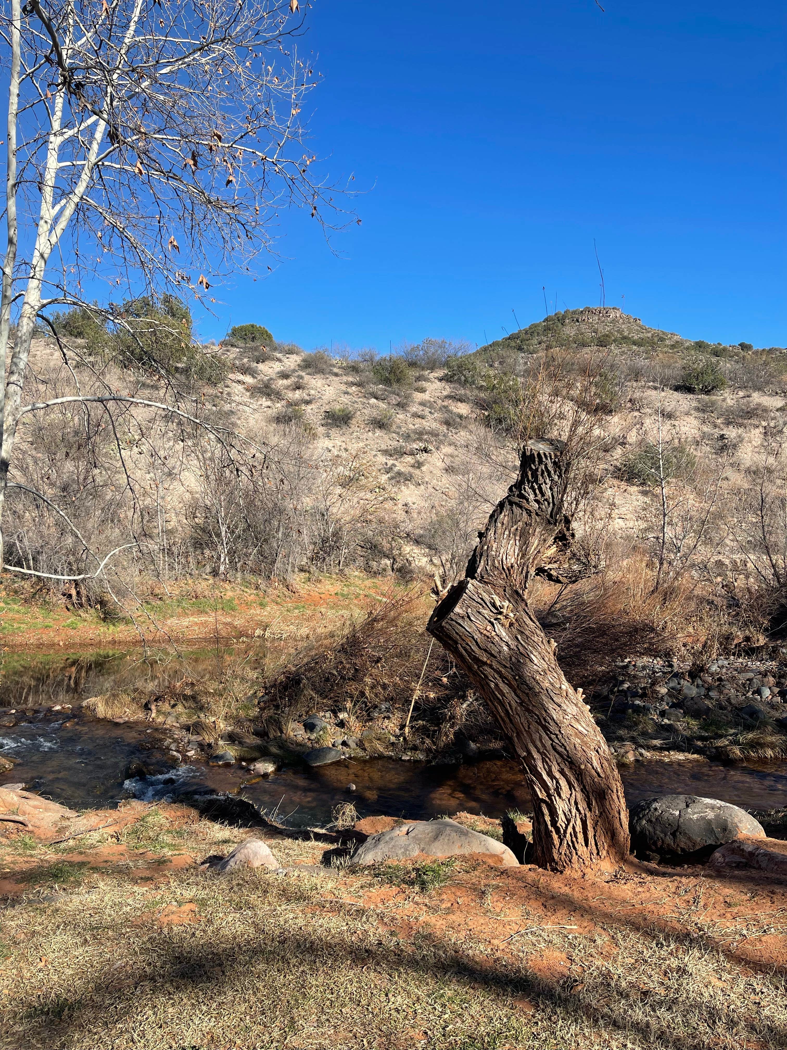 Camper-submitted photo at Page Springs Resort near Payson, AZ
