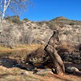 Review photo of Page Springs Resort by Michele H., February 7, 2022